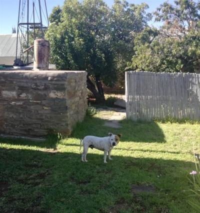 3 Bed House in Fraserburg