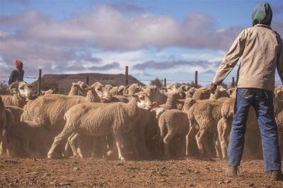 9 130 ha Farm in Victoria West