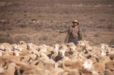 9 130 ha Farm in Victoria West