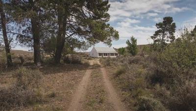 9 130 ha Farm in Victoria West