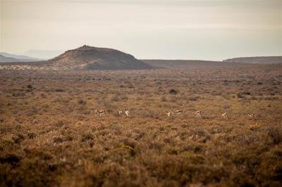 9 130 ha Farm in Victoria West