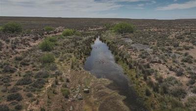 9 130 ha Farm in Victoria West