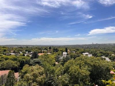 1 Bedroom Duplex in Parkview