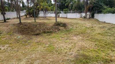 2 013 m² Land available in Morningside