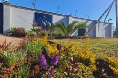 1 Bedroom Apartment / Flat to Rent in Protea Glen