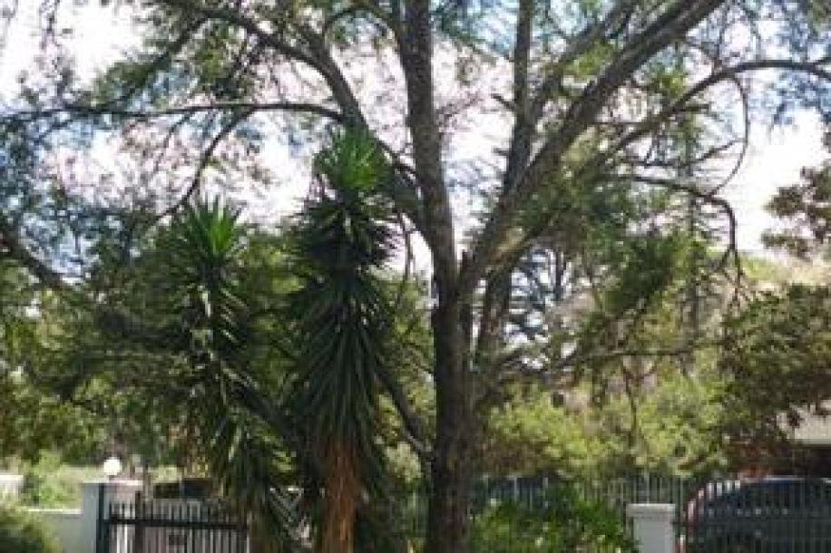 3 Bedroom House to Rent in Ferndale-11
