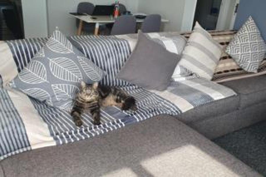 2 Bedroom Apartment / Flat to Rent in Woodstock-4