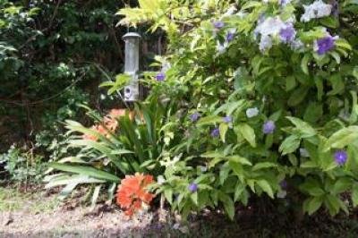 1 Bedroom Apartment / Flat to Rent in Vredehoek
