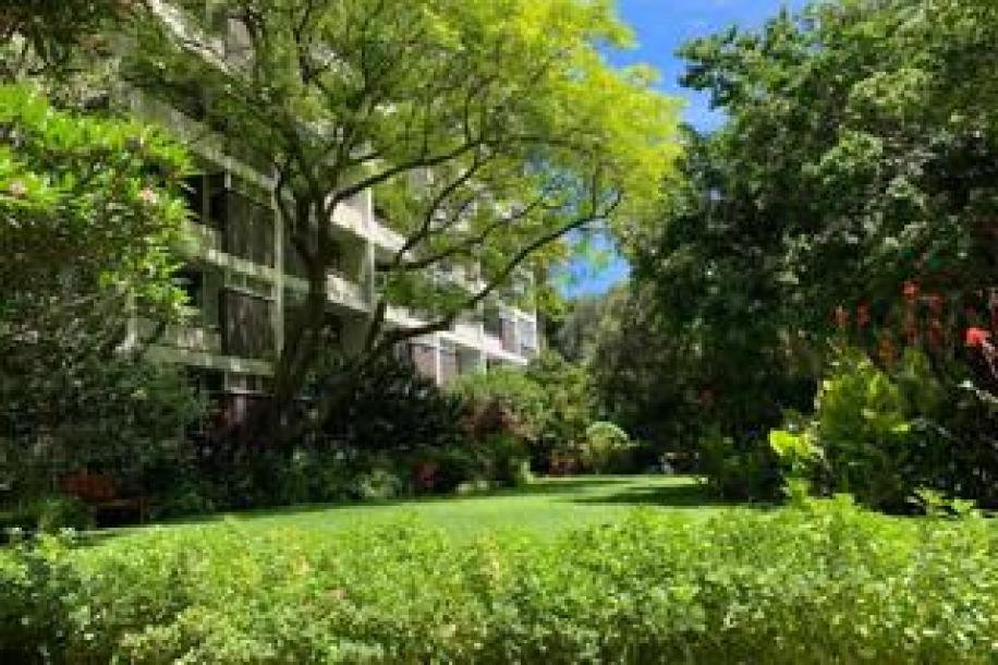 1 Bedroom Apartment / Flat to Rent in Gardens-9